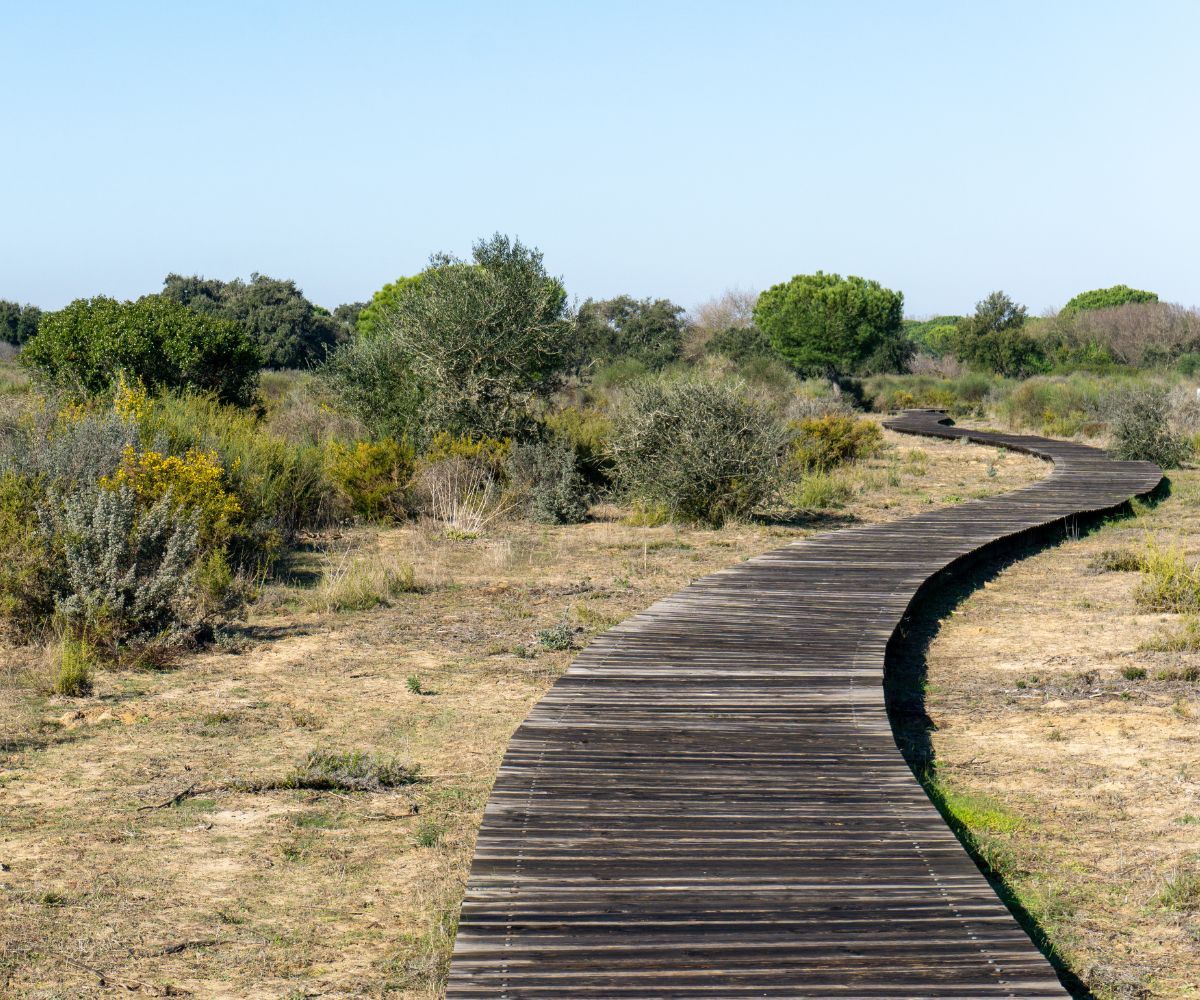 Conservación de Espacios Naturales - Andalucía | S1IOI